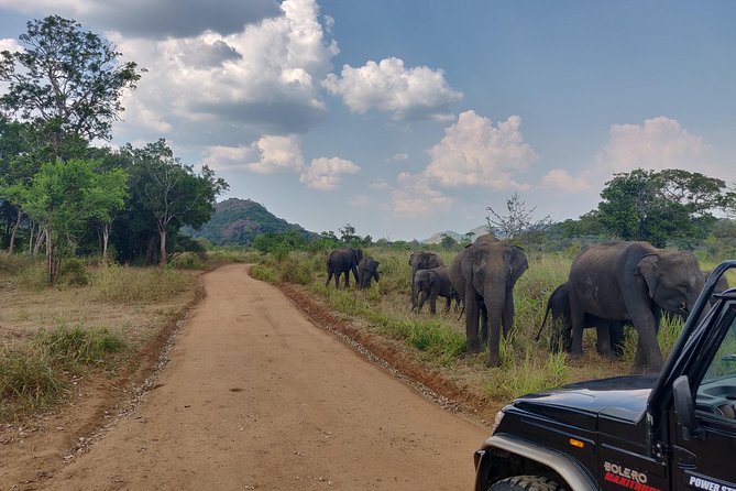 Hurulu Eco Park Entrance Ticket - Inclusions and Exclusions