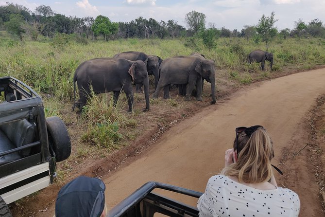 Hurulu Eco Park Entrance Ticket - Review Breakdown
