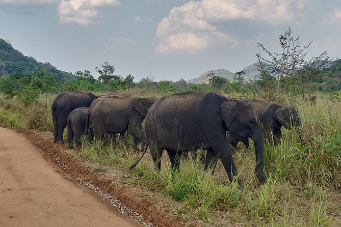 Hurulu Eco Park Entrance Ticket - Booking and Cancellation