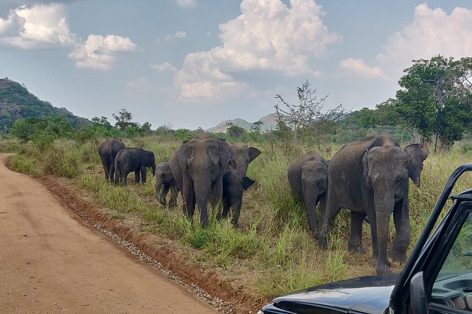 Hurulu Eco Park Entrance Ticket - Additional Considerations