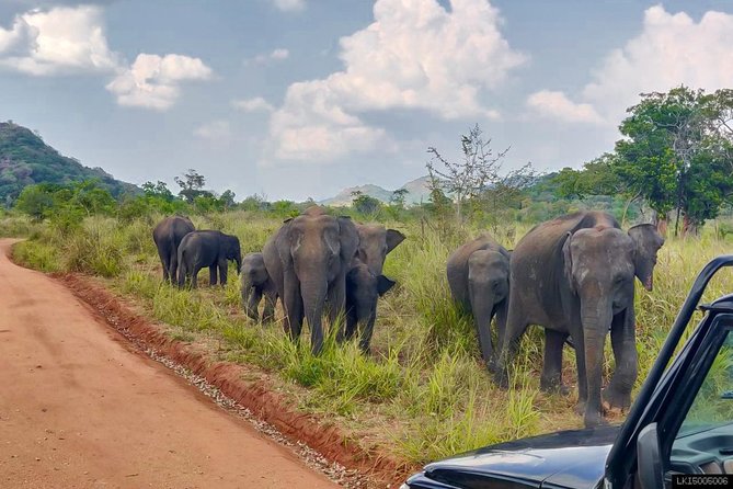 Hurulu Eco Park Private Safari - Game Drive Experience