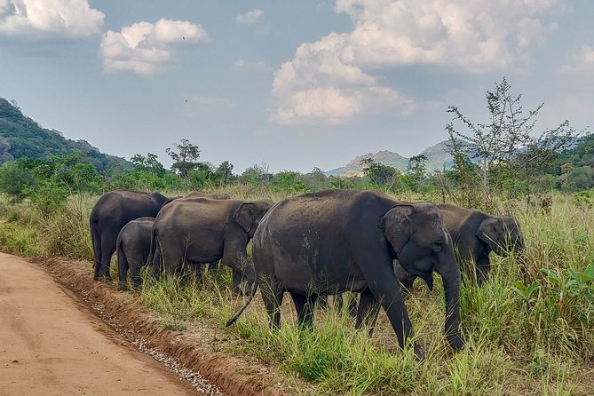 Hurulu Eco Park Private Safari From Sigiriya - Inclusions and Exclusions