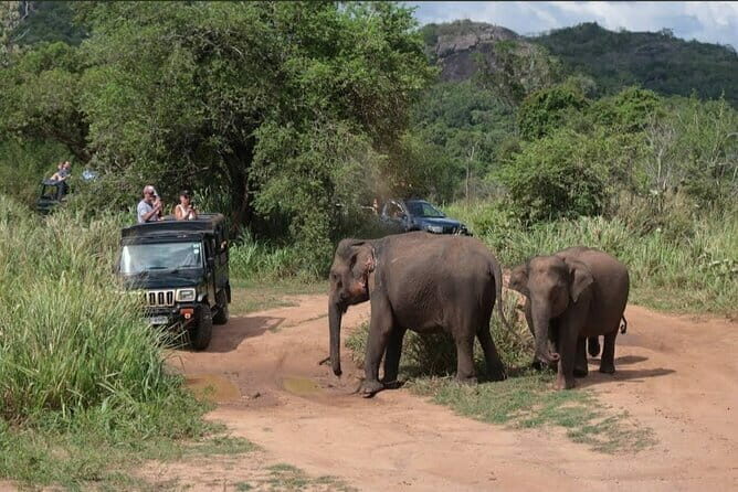 Hurulu Eco Park Safari Adventure - Key Points