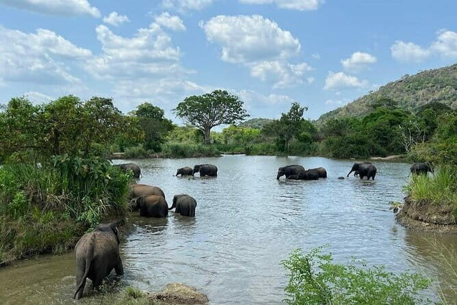 Hurulu Eco Park Safari Adventure - Authentic Feedback from Travelers
