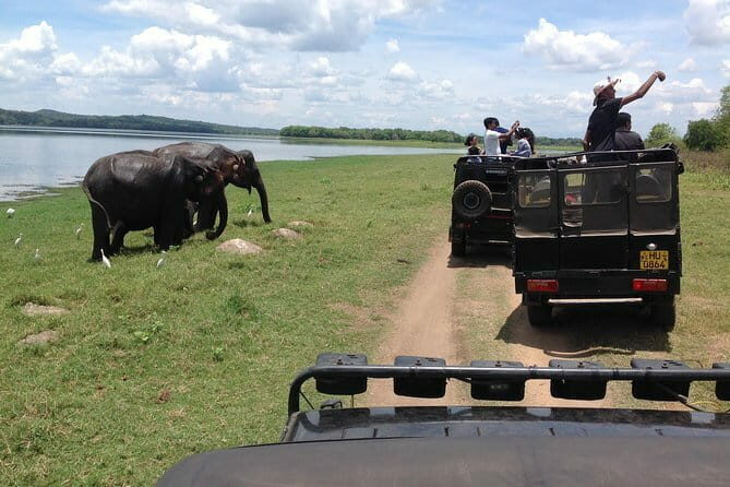 Hurulu Eco Park Safari Adventure - FAQ