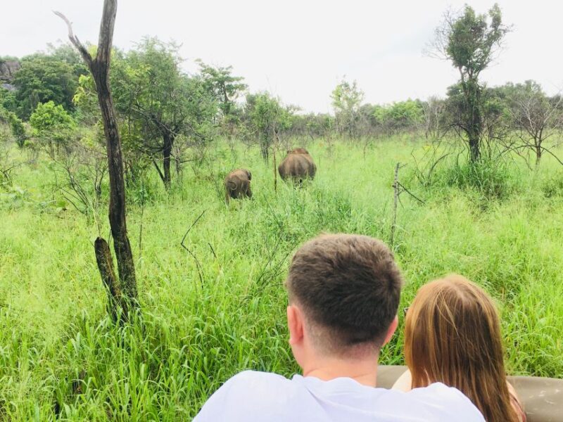 Hurulu National Park Safari Minneriya - Key Points