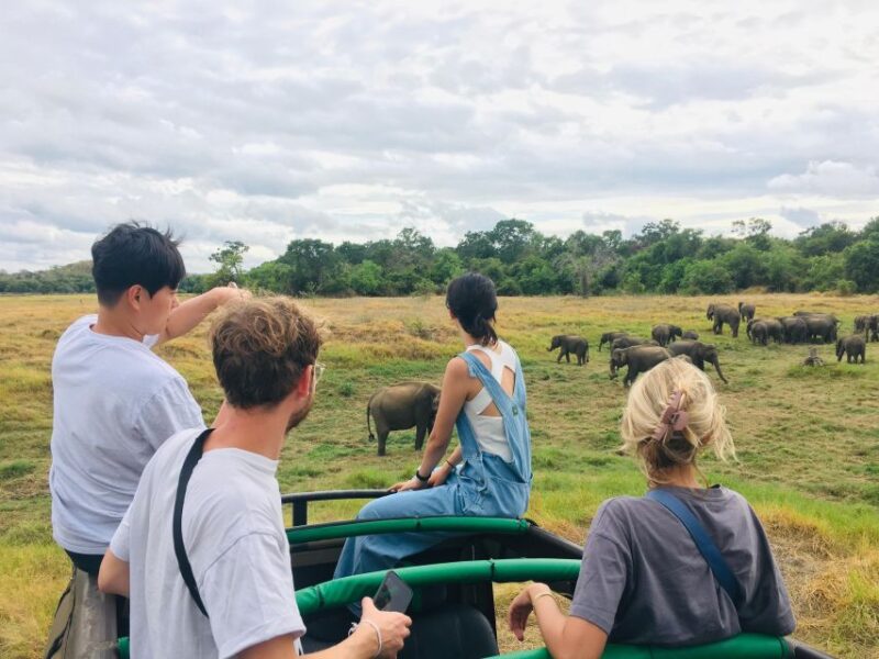 Hurulu National Park Safari Minneriya - Safari Experience Overview