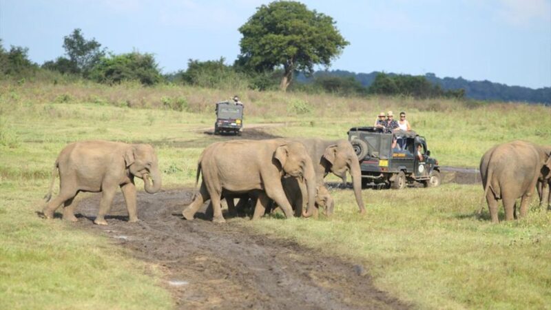 Hurulu National Park Safari Minneriya - Community Engagement