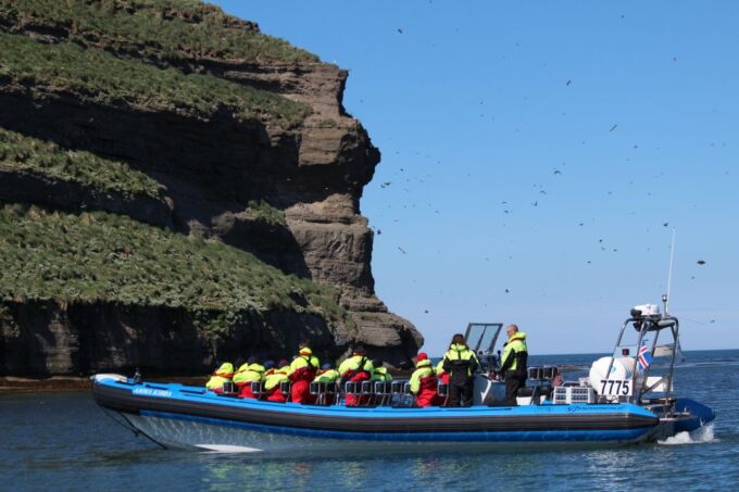 Húsavík: Big Whale Safari & Puffin Island Tour - Frequently Asked Questions