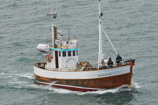 Husavik Family-Owned and Operated Whale Watching - Positive Customer Feedback