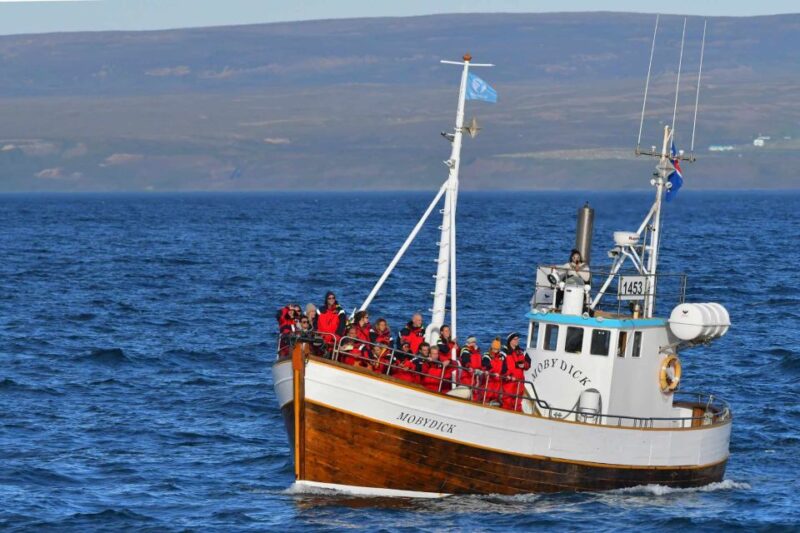 Húsavík: Family-Run and Guided Whale Watching Tour - Wildlife and Experience Highlights