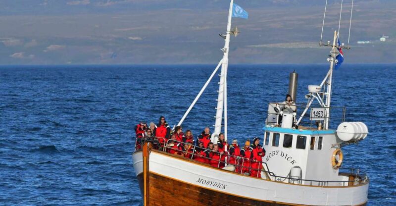 Húsavík: Family-Run and Guided Whale Watching Tour - Departure Information and Meeting Point