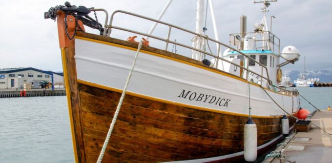 Húsavík: Family-Run and Guided Whale Watching Tour - Frequently Asked Questions