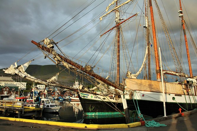 Húsavík Walking Tour - Highlights of the Walking Tour