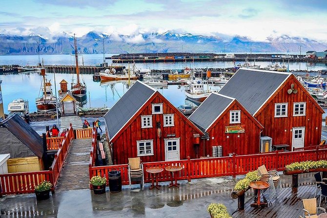 Húsavík Walking Tour - Customer Ratings and Feedback