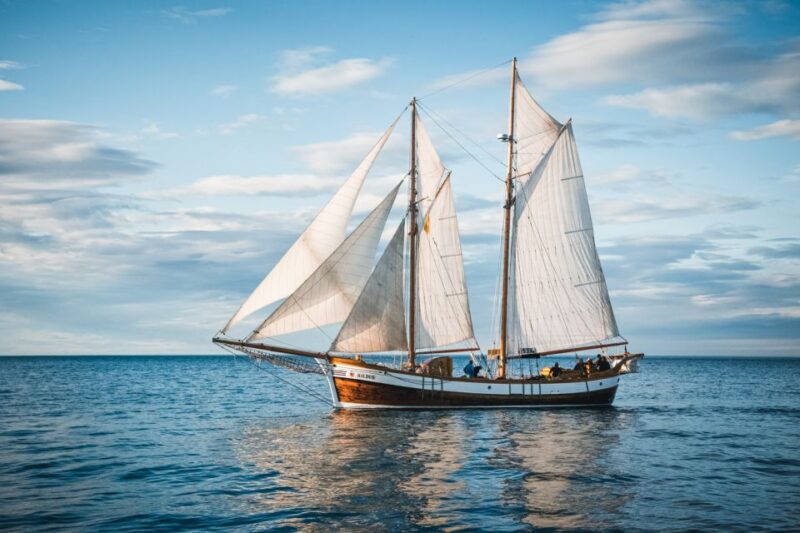 Húsavík: Whale Watching by Traditional Wooden Sailing Ship - Key Points
