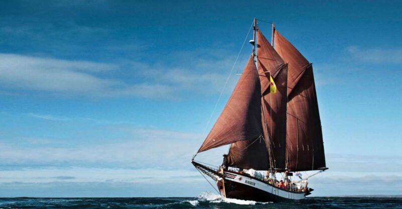 Húsavík: Whale Watching by Traditional Wooden Sailing Ship - Booking and Cancellation Policy