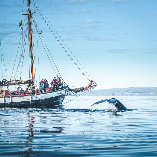 Húsavík: Whale Watching by Traditional Wooden Sailing Ship - Frequently Asked Questions