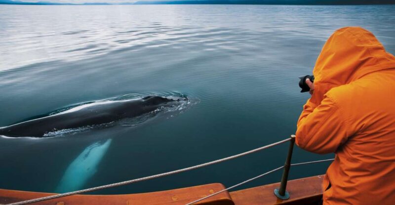 Húsavík: Whale Watching on a Carbon Neutral Oak Boat - Eco-Friendly Experience