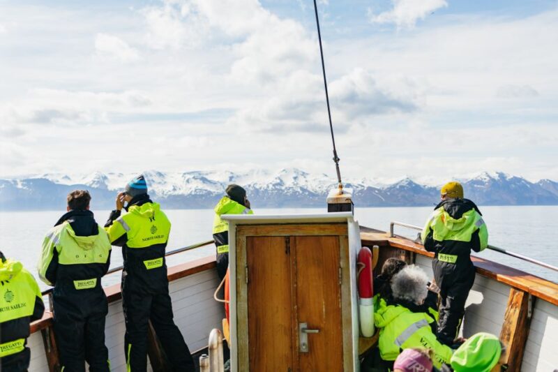Húsavík: Whale Watching Tour With Guide - Wildlife and Scenery