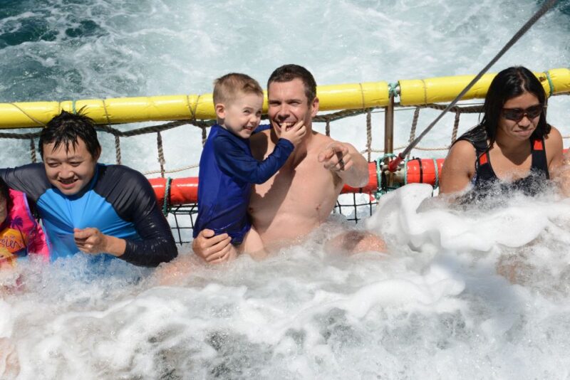 Huskisson: Dolphin Cruise & Boom Netting Experience - Key Points
