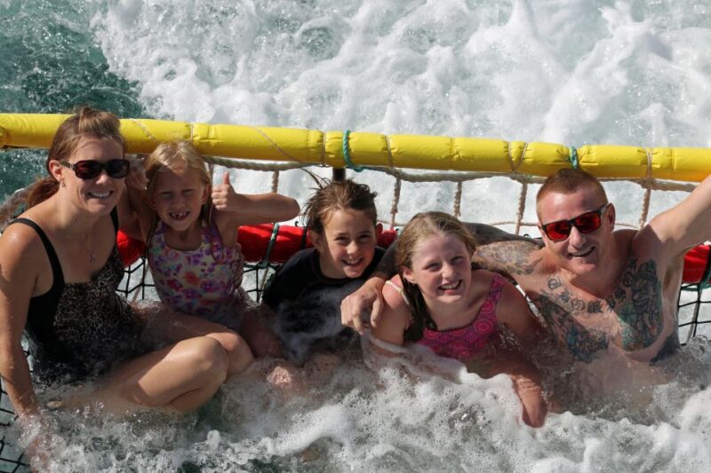 Huskisson: Dolphin Cruise & Boom Netting Experience - Highlights of the Experience