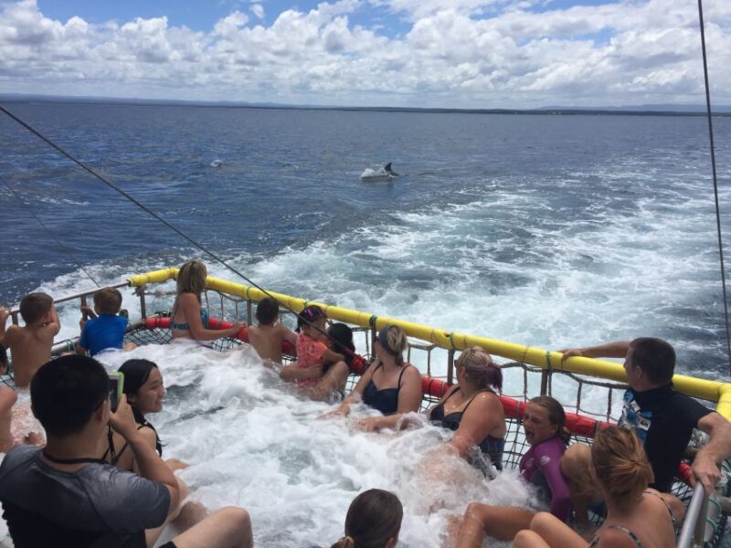 Huskisson: Dolphin Cruise & Boom Netting Experience - Inclusions and Exclusions