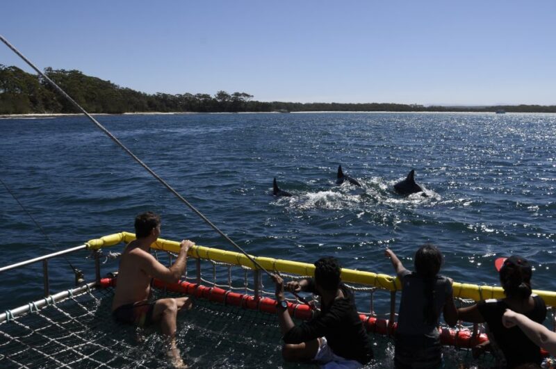 Huskisson: Dolphin Cruise & Boom Netting Experience - Exploring Jervis Bays Marine Park