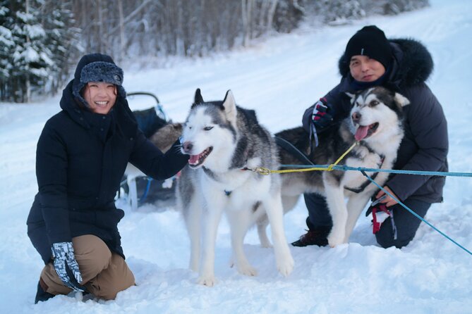 Husky Dog Sledding & Mushing With Pick up and Photo Service in Fairbanks, Alaska - Meeting and Pickup Location