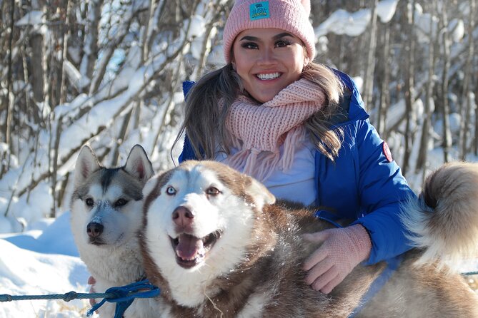Husky Dog Sledding & Mushing With Pick up and Photo Service in Fairbanks, Alaska - Pickup Times and Schedule