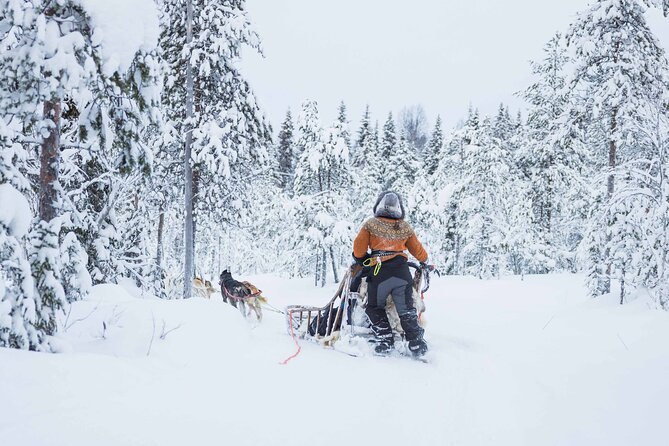 Husky Hugging and Sleigh Ride in Rovaniemi - About Your Stay