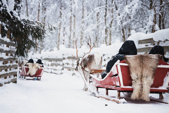 Husky, Reindeer Farm and Santa Village Experience - Tour Details and Participant Information