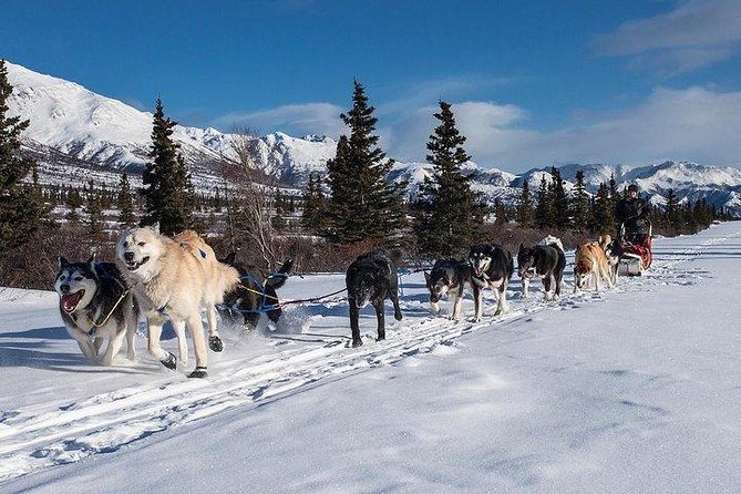 Husky Ride Private Tour From Krakow - Tour Schedule and Availability