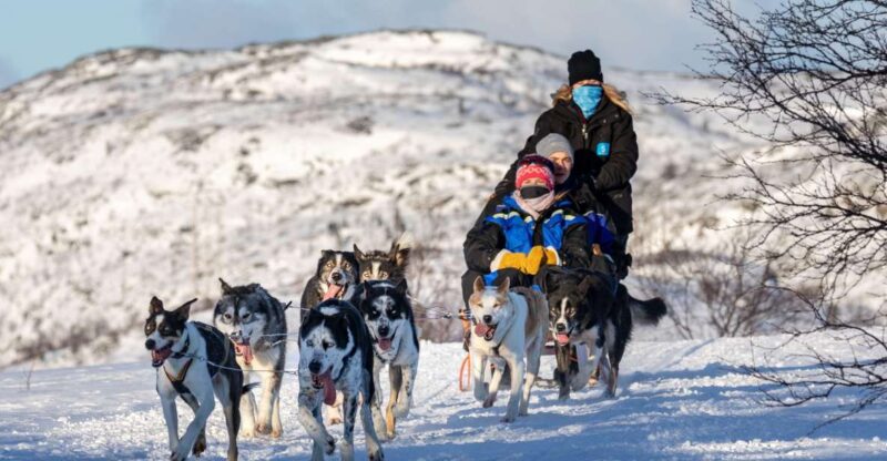 Husky Safari 1 Hour (10 Km) Small-Group Mushing Experience - Important Information
