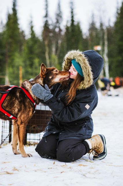 Husky Safari 1 Hour (10 Km) Small-Group Mushing Experience - Pricing and Duration