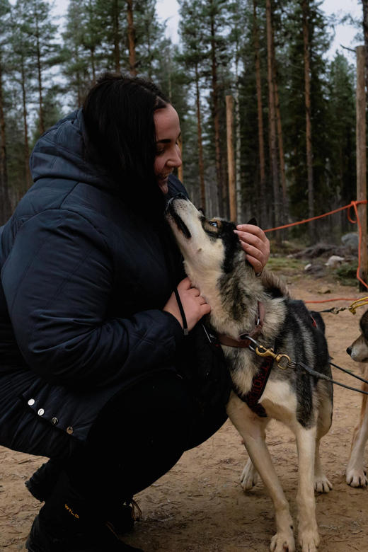 Husky Safari and Guided Tour. Autumn - Good To Know