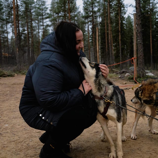 Husky Safari and Guided Tour. Autumn - Hugging the Huskies