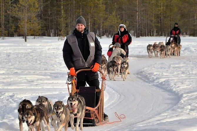 Husky Safari From Levi 2 KM or 5 KM With Husky Sledge Ride - Pickup and Drop-off in Levi
