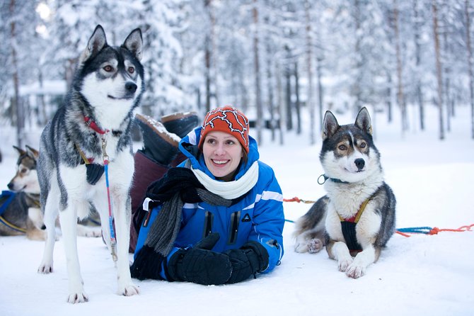 Husky Safari From Rovaniemi Including a Husky Sled Ride - Key Points