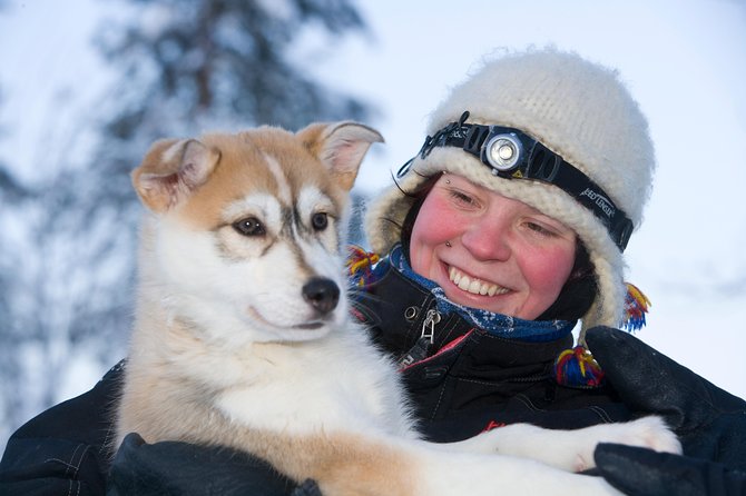 Husky Safari From Rovaniemi Including a Husky Sled Ride - What to Expect on the Husky-Drawn Sleigh Ride