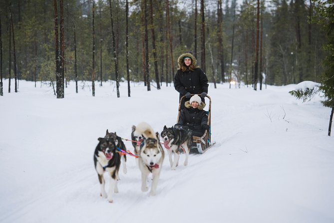 Husky Safari From Rovaniemi Including a Husky Sled Ride - Complimentary Refreshments and Amenities