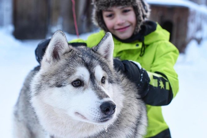 Husky Safari From Rovaniemi Including a Husky Sled Ride - Participant Preparation and Attire Requirements