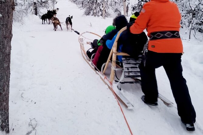 Husky Sledding Ride in Levi 5 KM - The Husky Sledding Journey
