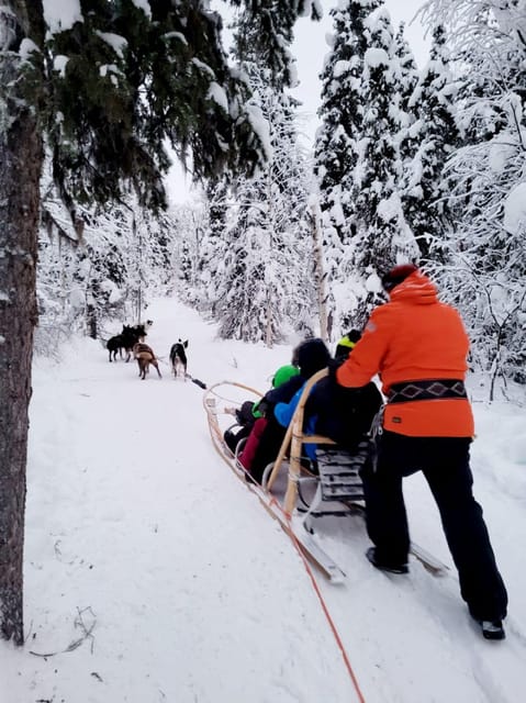 Husky Sledding Ride in Levi 5 KM - Highlights of the Tour