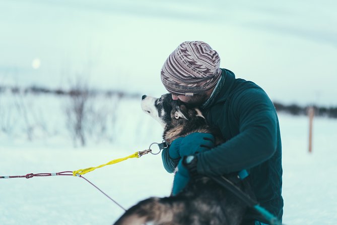 Husky Sledding Self-Drive Adventure in Tromso - Tour Details and Inclusions