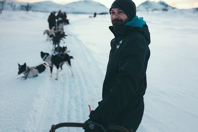 Husky Sledding Self-Drive Adventure in Tromso - Confirmation and Accessibility
