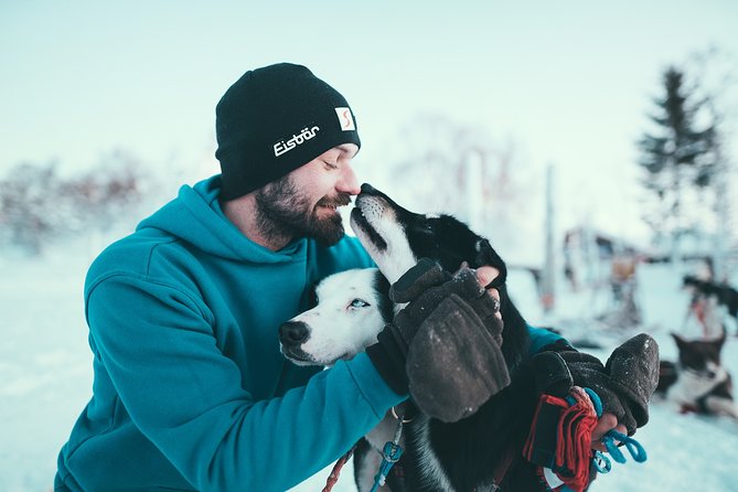 Husky Sledding Self-Drive Adventure in Tromso - Age Restrictions and Group Size