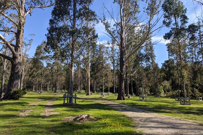 Hutt River Trail Ebike Explorer - Participant Requirements