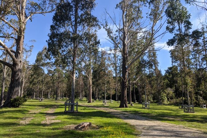 Hutt River Trail Mountain Bike Explorer - Itinerary Details