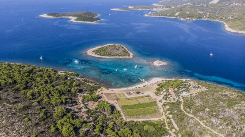 Hvar: Blue and Green Caves Boat Tour With Stiniva Beach - Customer Feedback